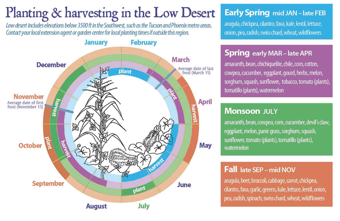 Las Vegas Growing Chart